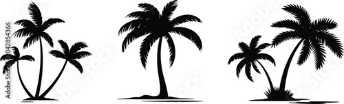 Silhouettes of Three Palm Trees on a White Background Keywords: silhouette, palm tree, tropical, tree, nature, plant, vegetation, island, beach, summer, vacation, travel, exotic