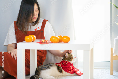 chinese new year concept with asian woman play with cat wearing red chinese traditional cloth with red envelope orange and gold on table