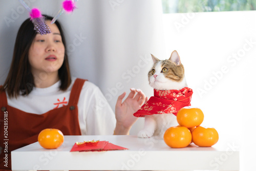 chinese new year concept with asian woman play with cat wearing red chinese traditional cloth with red envelope orange and gold on table