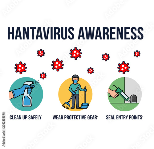 Hantavirus Awareness Infographic with Prevention Tips Vector Illustration
