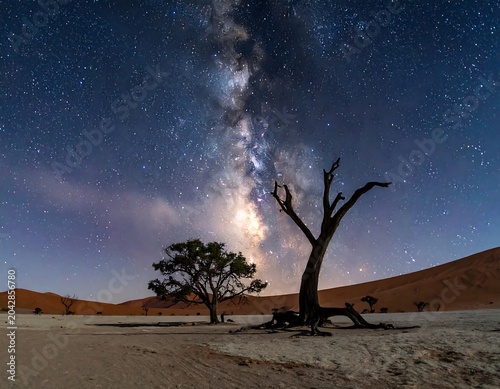 A vibrant nighttime vista showcases the Milky Way arcing over a desert landscape with dead trees and dunes