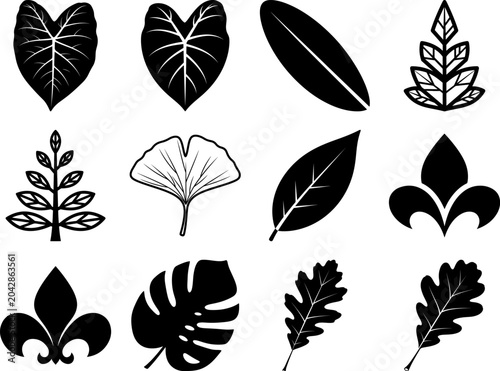 Black Leaf Vector Icons Set featuring Birch Ginkgo Plant Sprout and Floral Silhouettes