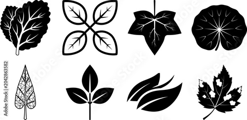 Black Leaf Vector Icons Set featuring Birch Ginkgo Plant Sprout and Floral Silhouettes