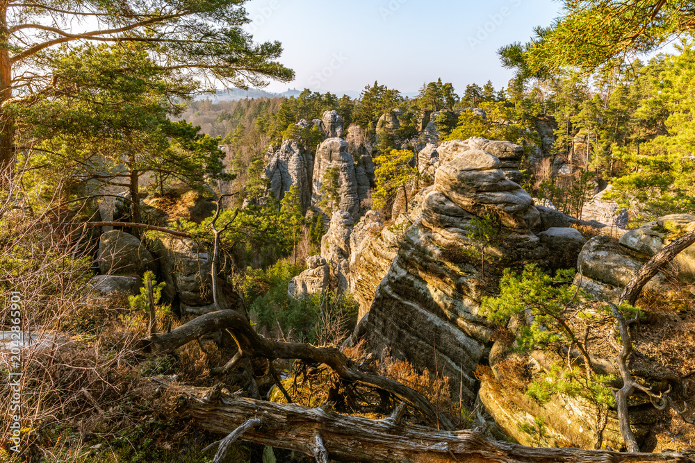 Fototapeta premium Prachov Rocks Czech Republic panorama