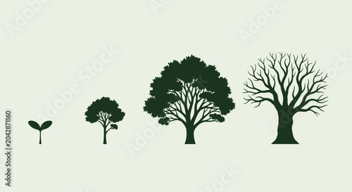 Tree Growth Stages Silhouette.
