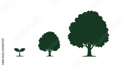 Trees of different ages growth.
