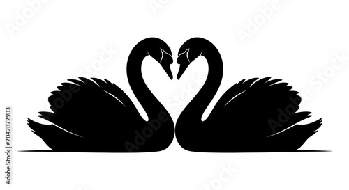 Obraz na płótnie Two swans form a heart shape with their necks on white background symbolizing lo