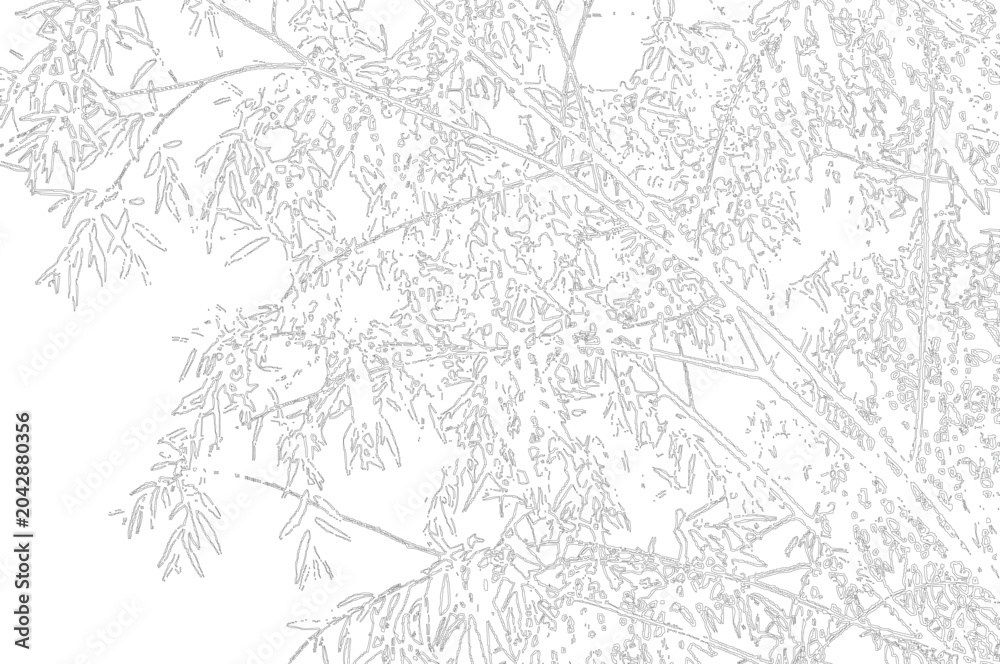 Obraz premium Detailed sketch of bamboo leaves and stalks, emphasizing natural texture and growth patterns on a transparent checkered background.