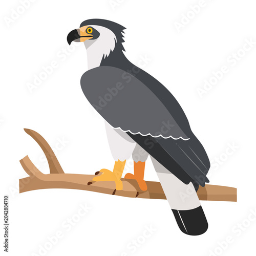 Stylized Illustration of a Harpy Eagle Perched on a Branch