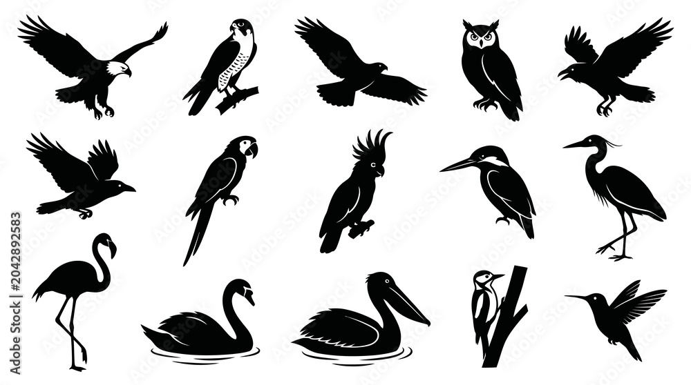 Obraz premium Diverse Black White Bird Silhouettes Icon Set - Nature Wildlife Vector Glyphs Collection