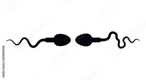 Tableau sur toile two sperm cells in silhouette biological reproductive science medical biology fe