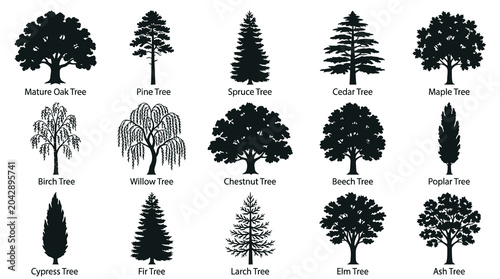 Nature Botany Vector Silhouettes: Diverse Black  White Tree Icon Collection for Environment and Landscape Design