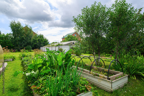 Fotografía spacious backyard garden with raised vegetable beds, leafy greens, fruit trees,