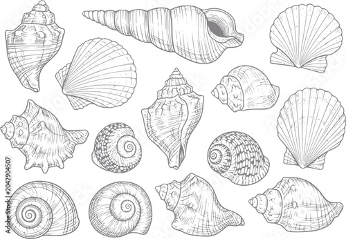 Bild auf Leinwand Collection of hand-drawn seashells in style