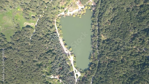 Aerial View of Karagol Lake Surrounded by Dense Green Pine Forest in Izmir Turkey. High quality 4k footage
