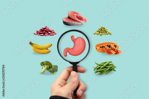 Foto Stomach health nutrition concept with digestive organ illustration and nutrient