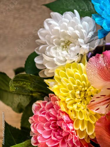 White Yellow And Blue Flowers Floral Background