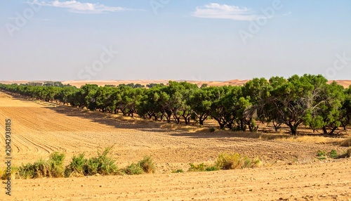 Golden savanna landscape with acacia trees under blue sky.