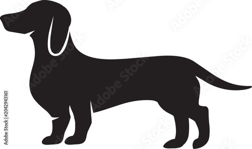 vector illustration of a Dachshound