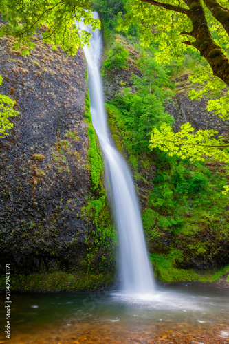 Sunlit Waterfall in Lush Oregon Forest with Starburst Light