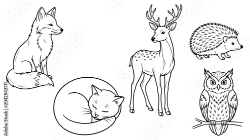 Photography Charming Woodland Creatures Collection: Fox, Deer, Hedgehog, Owl, and Sleeping C