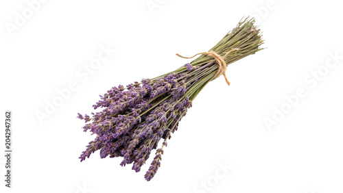 Bild auf Leinwand A bunch bundle of dry fragrant lavender herbs isolated on transparent background