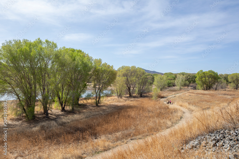 Fototapeta premium Walkers with their dogs on a scenic trail tall grass