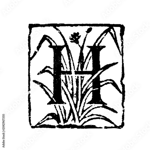 Quadro em tela Stylized letter H entwined with detailed botanical elements in a black and whi
