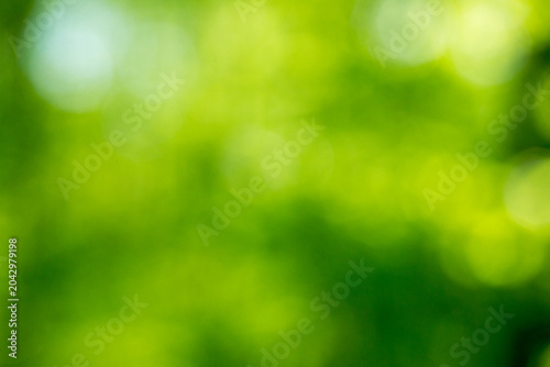 Green bokeh background from nature forest out of focus