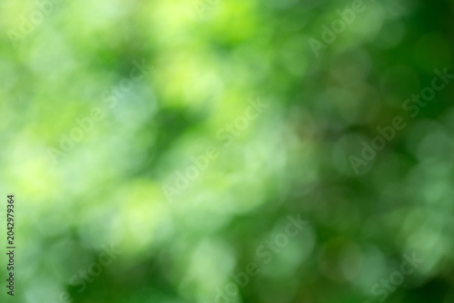 Green bokeh background from nature forest out of focus