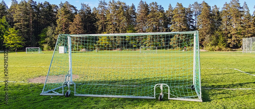 Photos Scenic view of an empty football field featuring a large goal with green netting, illuminated by bright sunlight against a beautiful backdrop of tall pine trees