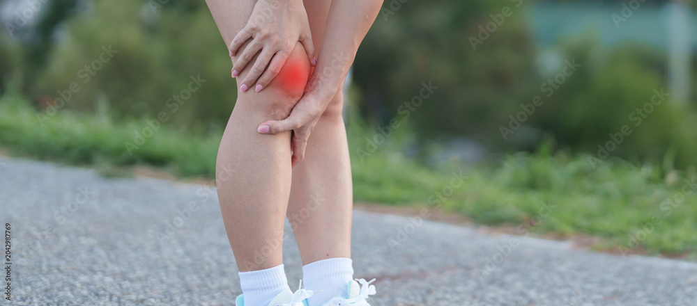 Fototapeta premium Young adult female runner with knee pain from ACL injury or patellofemoral syndrome. woman having joint ache, ligament tear or patellar tendinitis during running. Sports medical and healthcare concept