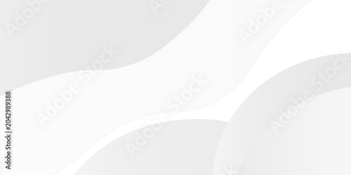 Fényképezés Abstract white and gray background