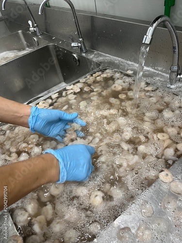 Seafood processing worker cleaning and inspecting shrimp in a washing station. Raw material preparation procedure supporting food safety, quality assurance, and large-scale food manufacturing.