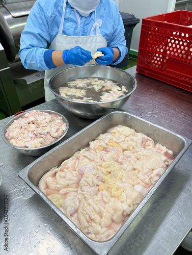 Worker inspecting food ingredients and removing unwanted materials before production. Quality control process supporting food safety, product quality, and raw material verification in food manufacturi