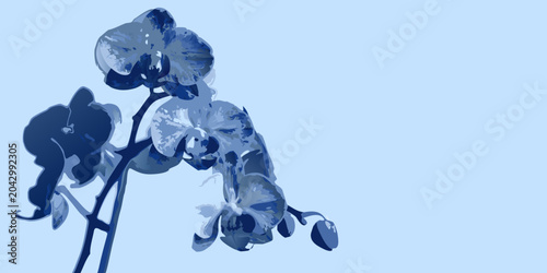 blue orchid flowers watercolor painting botanical artwork