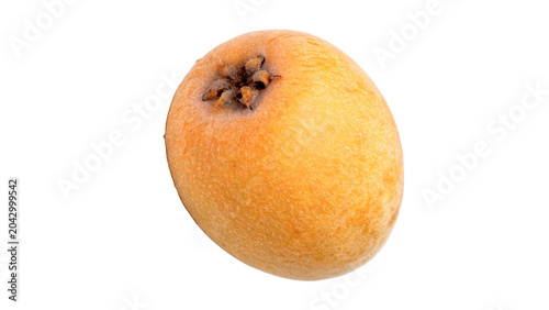 Tableau sur toile Fresh single whole yellow loquat medlar fruit exotic healthy food on transparent