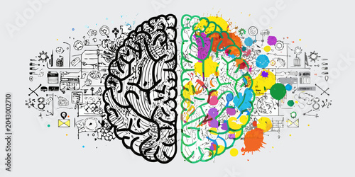 split human brain artistic illustration anatomical neurology
