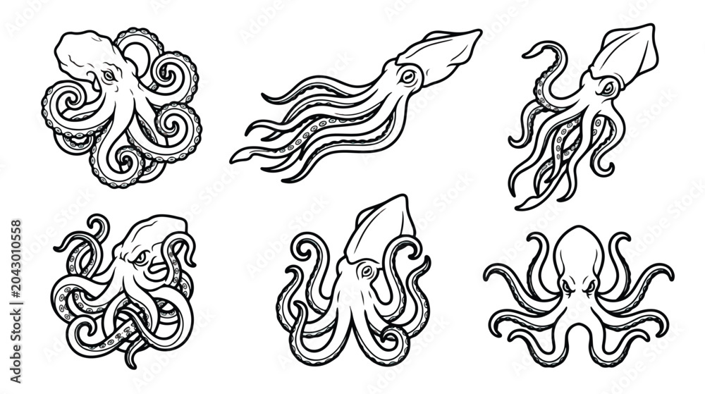 Fototapeta premium Vintage octopus and squid vector illustrations, set of 6 hand drawn cephalopod icons, black and white nautical marine life line art for seafood branding
