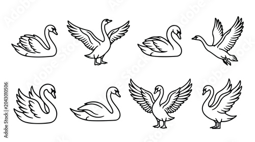 Fotografia Vintage swan line art collection, set of 8 elegant bird illustrations in black a