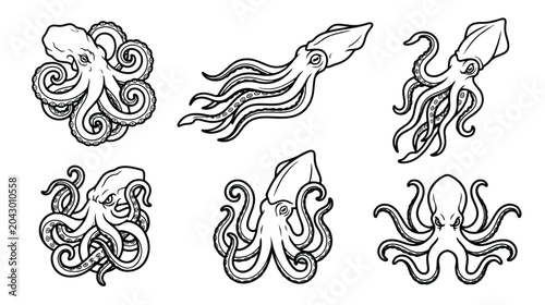 Photos Vintage octopus and squid vector illustrations, set of 6 hand drawn cephalopod i