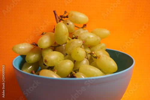 Fresh green grapes hanging in clusters, juicy, nutritious, naturally sweet, and refreshing fruit.