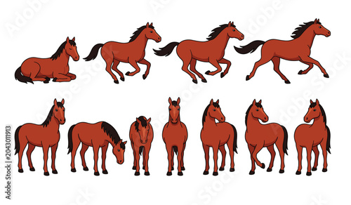 Foto Brown horse vector character illustration set