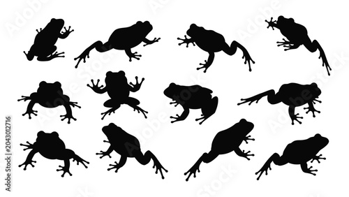 Quadro su tela Collection Of Black Frog Silhouettes In Various Poses Against A White Background
