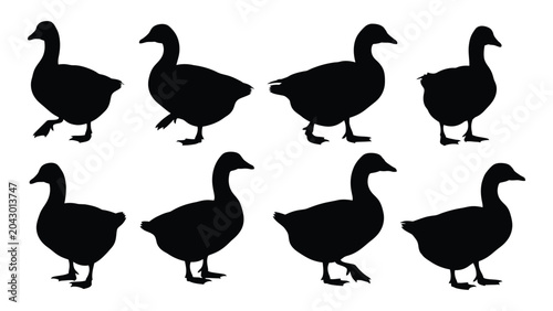 Canvas Print Collection of duck silhouettes in various poses against a white background a mon