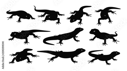 Foto Collection of lizard silhouettes in various poses against a white background sil