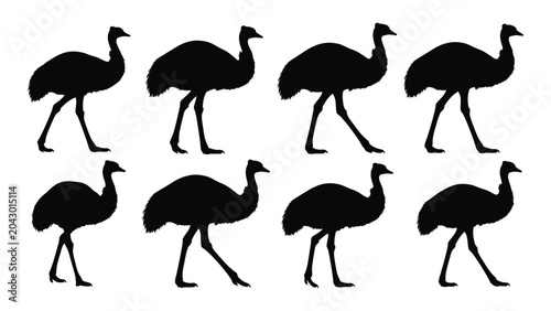 Foto Collection Of Emu Silhouettes In Various Poses Against A White Background Silhou