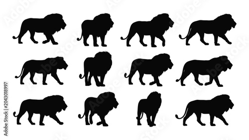 Foto Collection of african lion silhouettes in various poses against a white backgrou