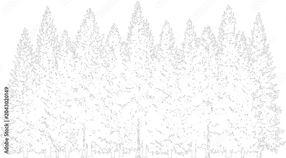 Obraz premium A serene forest landscape with tall trees and foliage natural scenery
