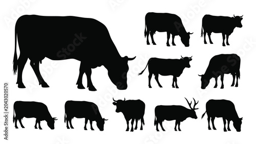 Photos Collection Of Cattle And Elk Silhouettes In Black And White A Graphic Representa